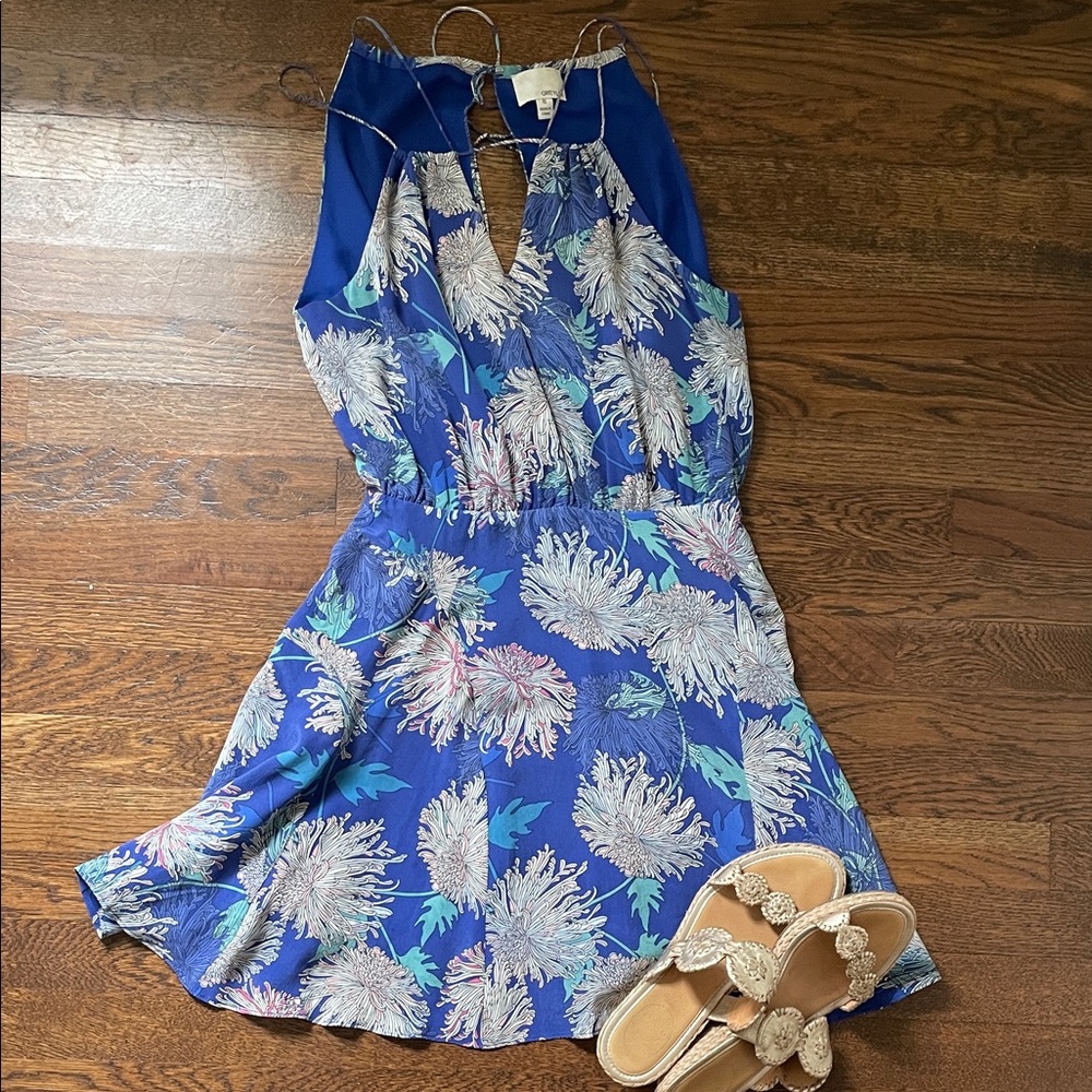 Greylin Blue and Floral Patterned Dress
